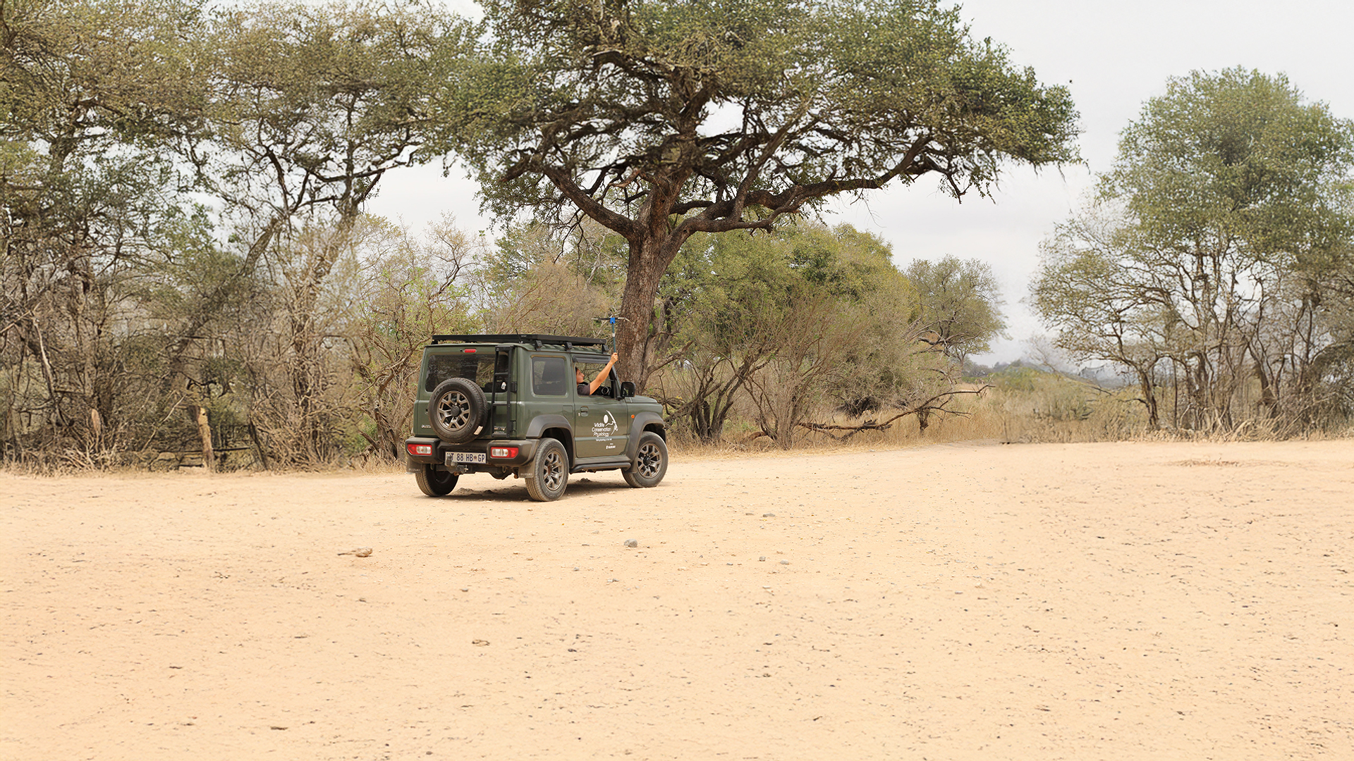 From beeps to big cats: tracking lion energetics and physiology in the Kruger National Park